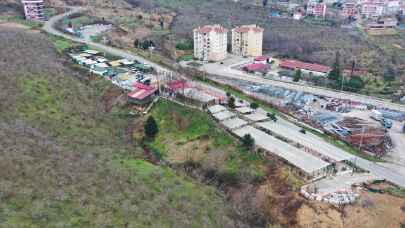 Giresun’daki barınak sokak hayvanlarına şifa oluyor