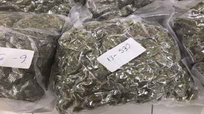 Düzce’de 19,5 kilogram esrar ele geçirildi, bir zanlı tutuklandı