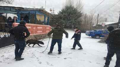 Bingöl’de başıboş gezerken yakalanan pitbull barınağa gönderildi