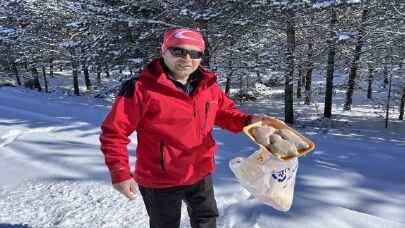Erzurum’da nesli tükenme tehlikesindeki vaşak görüntülendi