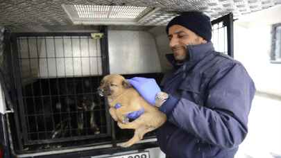 Bursa’da donmak üzereyken bulunan köpek yavruları kurtarıldı