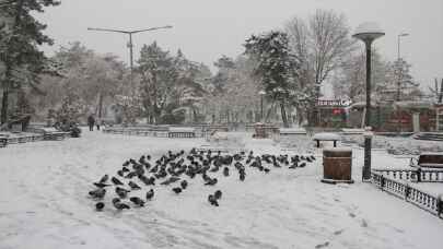 Kayseri’de yoğun kar yağışı etkili oluyor
