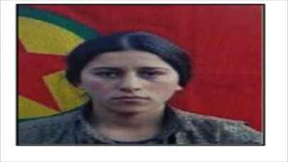 Hakkari’de 8 kişinin şehit olduğu saldırının failinin yer altı mağarasında etkisiz hale getirildiği belirlendi