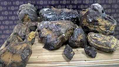Mersin’de 42 kilo 750 gram 'balina kusmuğu' ele geçirildi