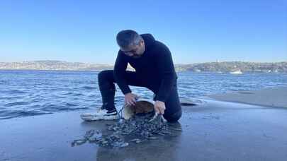 İstanbul Boğazı'nın gönüllü temizlikçisi