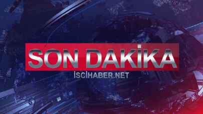 Fren yerine gaza bastı, ağaca tosladı!