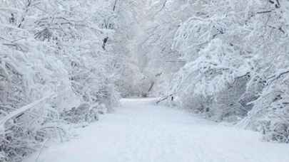 Meteoroloji' den hava durumu uyarısı! Kar sağanakları durmayacak