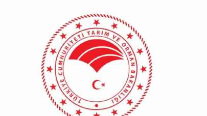Tarım ve Orman Bakanlığı: "Buğday arzında sıkıntı yaşanmayacak"