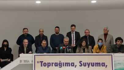 Bursa'dan 'zeytinlik alanların talanına' akademik tepki