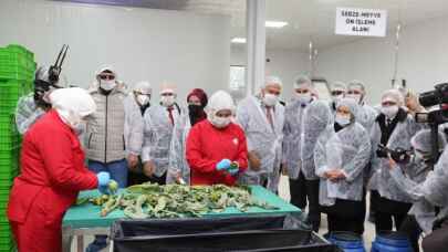 İzmir Efeler'de yüzde 100 kadın emeği