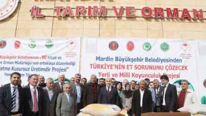 Mardin'de üreticilere yem dopingi