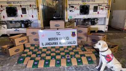 Mersin Limanı'nda 258 kilo uyuşturucu 
