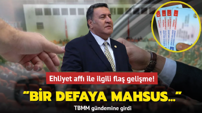 CHP'li Milletvekili Gürer'den 'Ehliyet affı çıksın' çağrısı