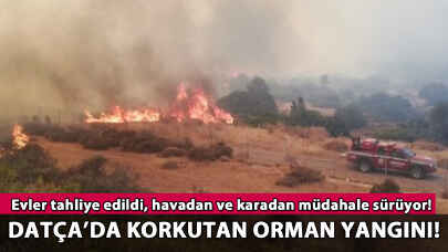 Datça'da korkutan orman yangını: Evler tahliye edildi, müdahale sürüyor!