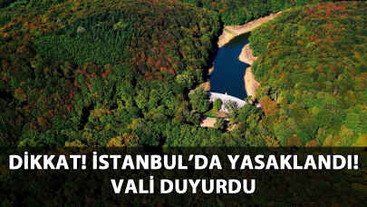 İstanbul'da ormanlara giriş yasaklandı!