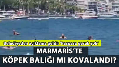 Marmaris'te köpek balığı mı? Belediyeden açıklama: 'Paspasa gerek yok'