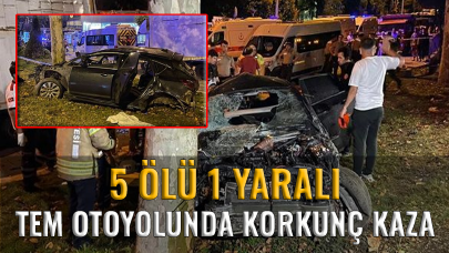 TEM Otoyolu'nda korkunç kaza: 5 ölü, 1 yaralı