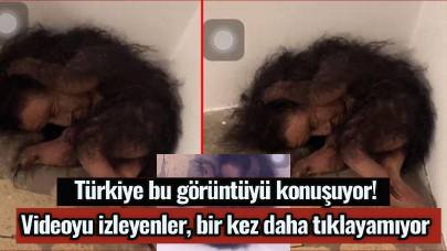 Türkiye bu görüntüyü konuşuyor! Videoyu izleyenler, bir kez daha tıklayamıyor