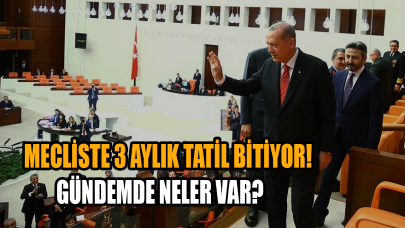 Mecliste 3 aylık tatil bitiyor! Gündemde neler var?