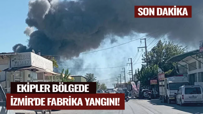 Son dakika... İzmir'de fabrika yangını! Ekipler bölgede