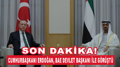 Cumhurbaşkanı Erdoğan, BAE Devlet Başkanı ile görüştü
