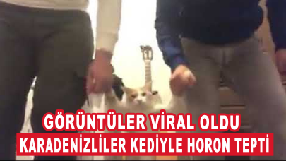 Karadenizliler kediyle horon tepti, görüntüler viral oldu