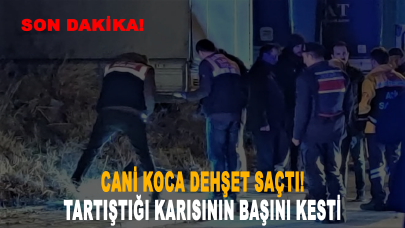 Cani koca dehşet saçtı: Saçından sürükleyerek evden çıkardığı karısının başını kesti