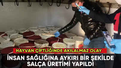 Hayvan çiftliğinde akılalmaz salça üretimi