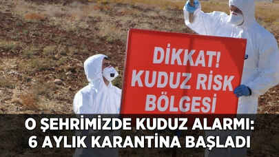 Bir kentte kuduz alarmı! 6 aylık karantina başladı