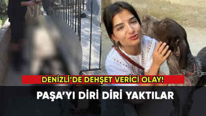 Denizli'de dehşet verici olay :Paşayı diri diri yaktılar