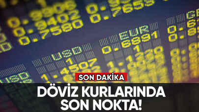Döviz kurları (24 Mayıs 2023)