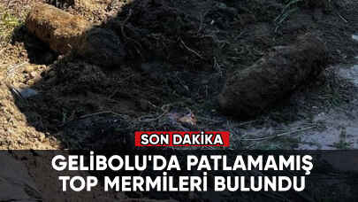 Son dakika... Gelibolu'da patlamamış top mermileri bulundu