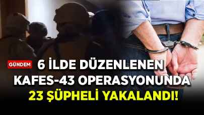6 ilde düzenlenen Kafes-43 operasyonunda 23 şüpheli yakalandı
