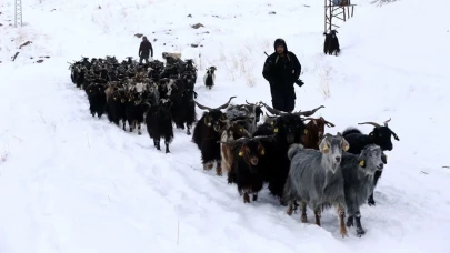 Muş’ta tipi nedeniyle mahsur kalan besiciler kurtarıldı