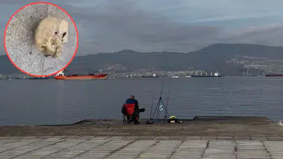 Balıkçının oltasına insan kafatası takıldı