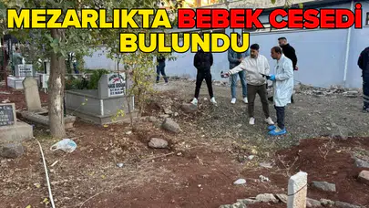 Şanlıurfa'da kan donduran olay!