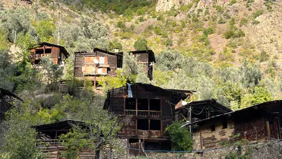 Artvin’in asırlık ardıç evleri zamana meydan okuyor