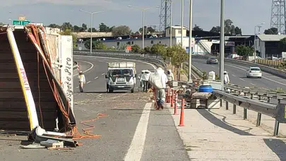 Mersin'de arı yüklü kamyon devrildi: Binlerce arı yola saçıldı