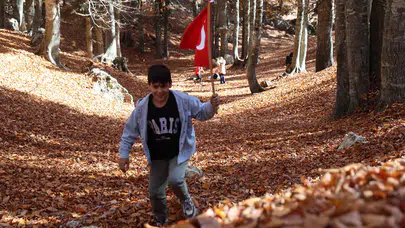 Adana’nın Yirce Kayın Ormanları sonbaharla birlikte renk cümbüşüne büründü