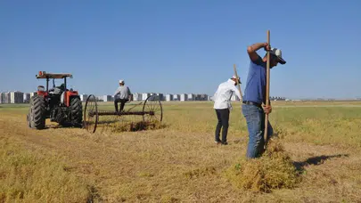 Tarımsal destek ödemesi başladı: 320,6 milyon lira çiftçilerin hesaplarında