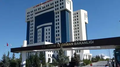 Tarım ve Orman Bakanlığı'ndan iş ilanı: 200 sözleşmeli personel alınacak