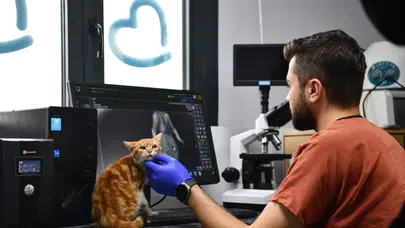 Balıkesir’de sokak hayvanlarına kalıcı yuvalar