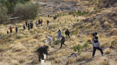 Sivas Zara'da üniversiteliler seferberliği: 30 bin fidan toprakla buluştu