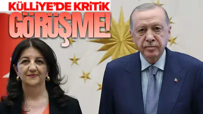 Cumhurbaşkanı Erdoğan, DEM Parti İmralı Heyeti ile buluşacak
