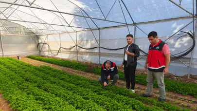 Beyşehir’de örtü altı yetiştiriciliği yaygınlaşıyor