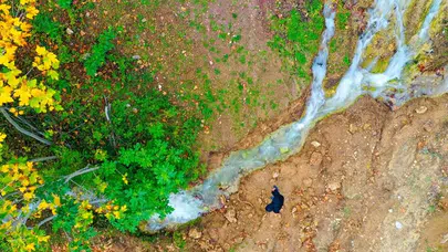 Balıkesir’de şaşırtan olay!