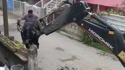 Düzce’de telefon direğinde mahsur kalan kedi, kepçeli operasyonla kurtarıldı