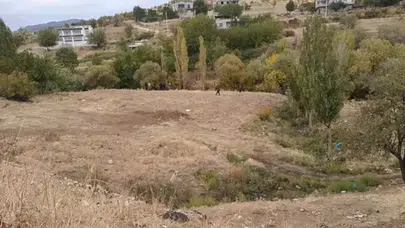 Diyarbakır'da ağaçlık alanda ceset bulundu