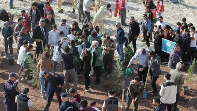 Mersin’de 11 Kasım’da 500 fidan toprakla buluştu