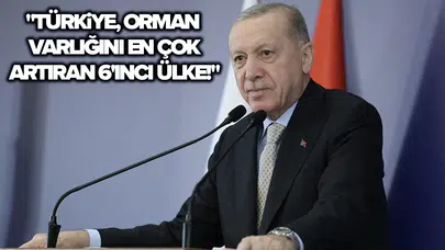 Cumhurbaşkanı Erdoğan, 11 Kasım Milli Ağaçlandırma Günü Programı'nda!